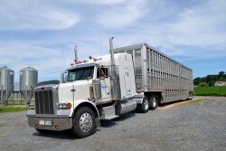 Livestock truck