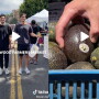 Farmers-Market.jpg