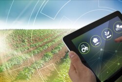 "All these words that we love to throw about—traceability; sustainability; and, yes, blockchain—apply here big time. "