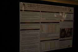 First Place: Veronica Munoz, West Texas A&M: Comparative Efficacy of Metaphylaxis with Tulathromycin and Pentavalent Modified-Live Virus Vaccine in High-Risk, Newly Received Feedlot Cattle.