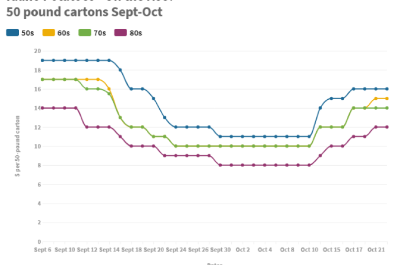 September - October prices for Idaho potatoes