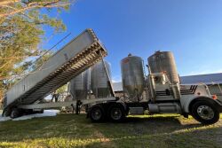 Water-Based Foam as a Method for Swine Depopulation