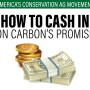 Ecosystem services offer revenue streams and clauses to navigate.