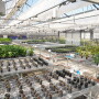 Joyn Bio was a joint venture between Ginkgo Bioworks and Leaps by Bayer and has about 75 employees in California and Boston.
