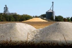fertilizer