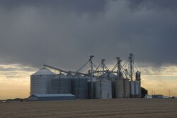 A combination of factors paint a volatile picture for grain elevators in the coming year.