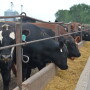 “People in the cow-calf industry were feeding hay at rates they never imagined and cake to keep their cattle herd moving but that also the feedlots out in the western areas are consuming a lot more feed just to maintain.”