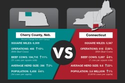 Cherry Co Neb vs Conn.jpg