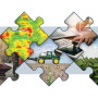 Consider input prices, market opportunities and agronomic challenges.
