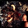 An infested wound with larvae.
