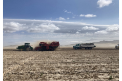 Idaho potato harvest IPC