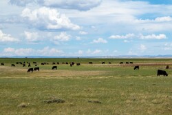 Hall Ranch