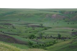 Cheyenne River Ranch
