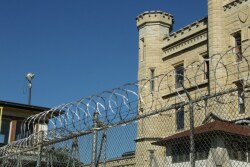 A man will serve prison time for running a multimillion-dollar fraud scheme where he claimed to turn cow manure into green energy.