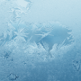 Frost
