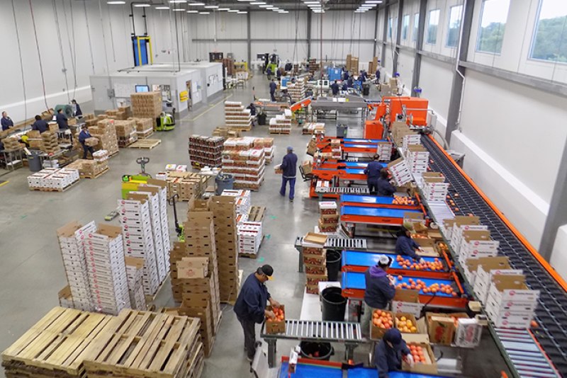 The production department at Capital City Fruit Co.