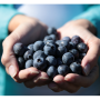 1D777046-51A9-41AF-843B6F16E9A6FE39.png