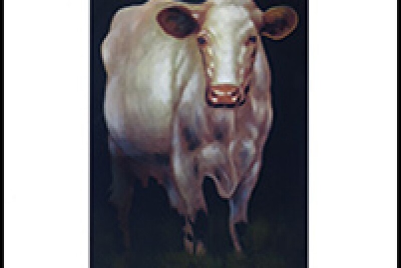Through a 2017 partnership with the Texas A&M University Medical Services Library, the Bovine Practitioner issues were scanned and digitized to provide high-quality searchable scans.