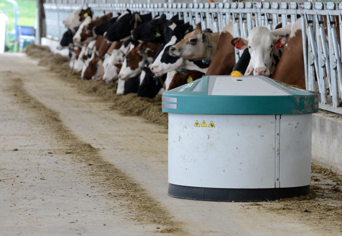 stcdairy_5.jpg