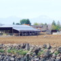 childhood family farm