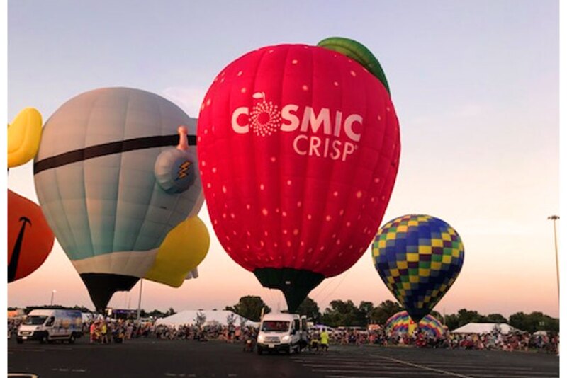 The Cosmic Crisp hot air balloon has traveled the country to many balloon festivals in 2022, raising public awareness of the fast-rising Washington apple variety.