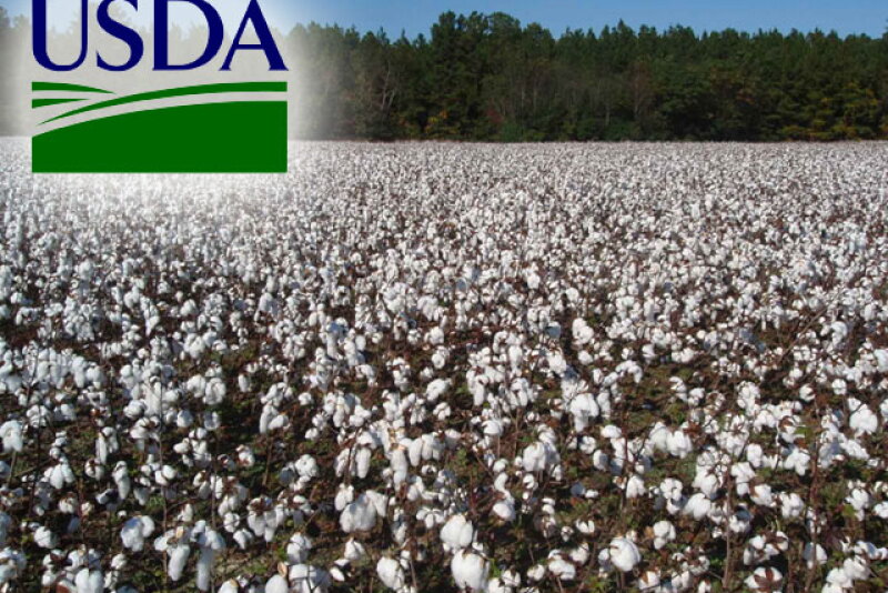 USDA-georgia-cotton.jpg