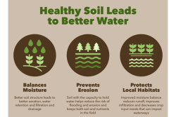 Healthy-Soul-Better-Water-2.png