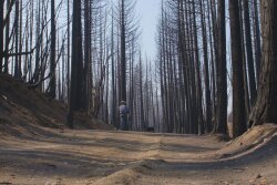 CA fires