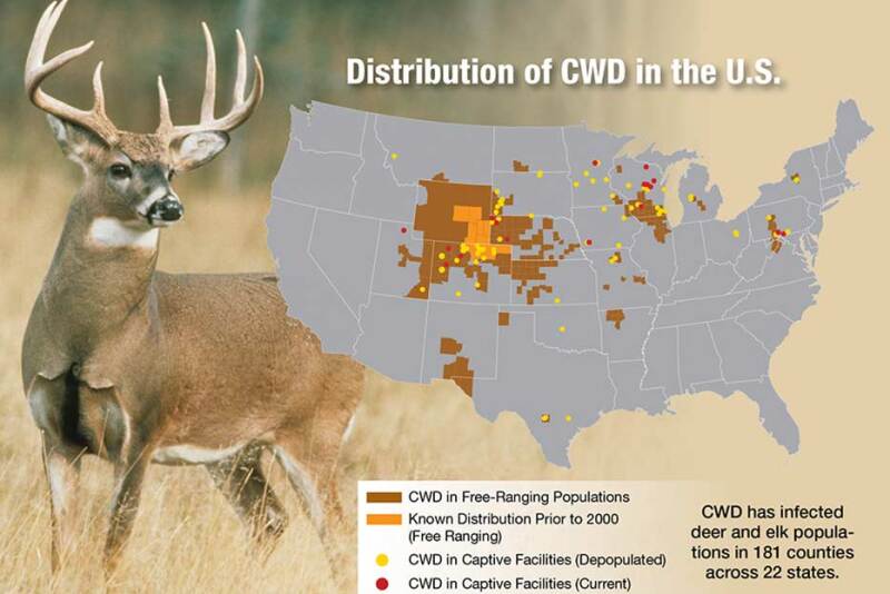 CWD has infected deer and elk populations in 181 counties across 22 states.