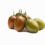 chocolate colored tomato