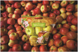 An apple pouch bag from Rice Fruit Co.