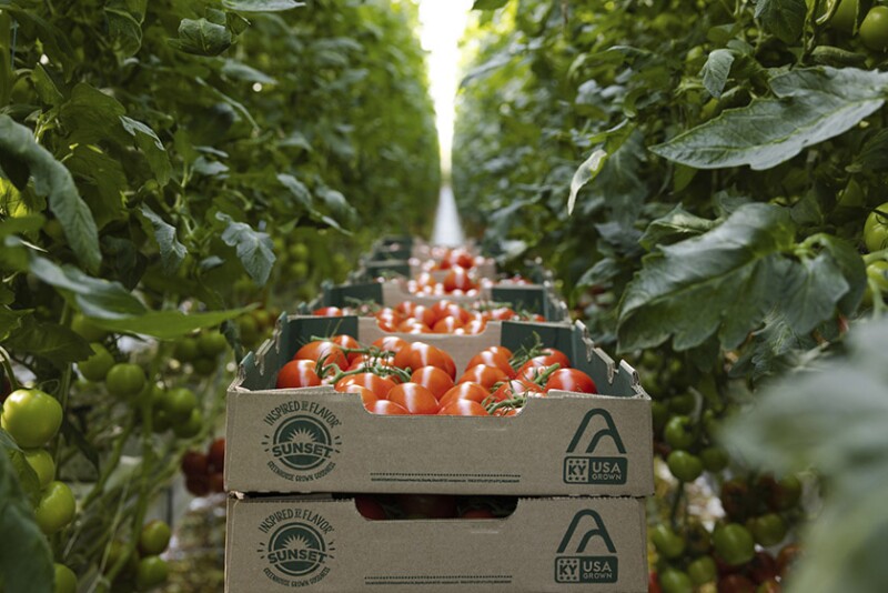AppHarvest