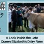Top Stories