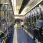 DT Dairy Parlor Milkers_0.JPG