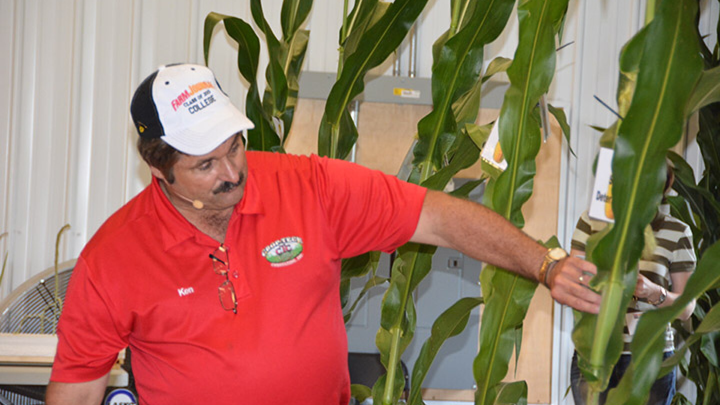 Take an Inside Look at Top Hybrid Characteristics - AgWeb