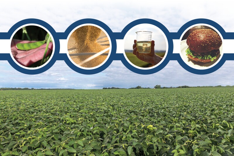 New soybean markets