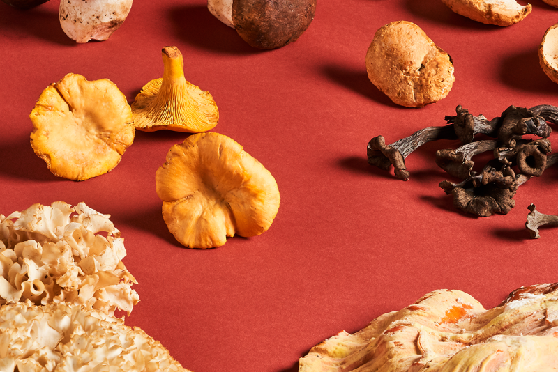 Various mushrooms
