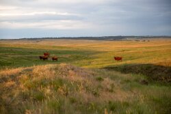 South Comanche Ranch, Byers, CO