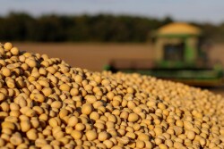 Both supply concerns and a boost in demand are helping to support commodity prices, but is now the time to sell? U.S. Farm Report marketing analysts weigh in. 