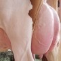 Udder2.jpg