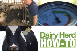 Check out exclusive how-to videos from Dairy Herd Management by clicking on the video player below. 



