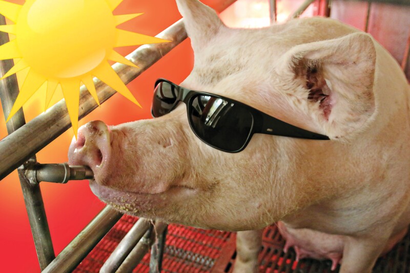 Hot-Weather,-Cool-Strategies
