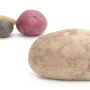 A shorter crop has reduced russet potato promotions this season, USDA statistics show.