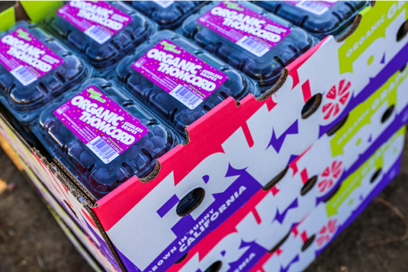 Fruit World's organic Thomcord grapes are available in 1-pound clamshells and 2-pounds paper totes.