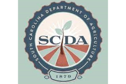 scda