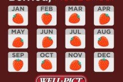 Well-Pict