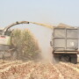 With the unprecedented Spring impacting the beginning of the 2019 growing season, we’re curious how your silage looks. 