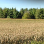 DFEF4A58-93C8-41D6-909C72B1D5D48994.png