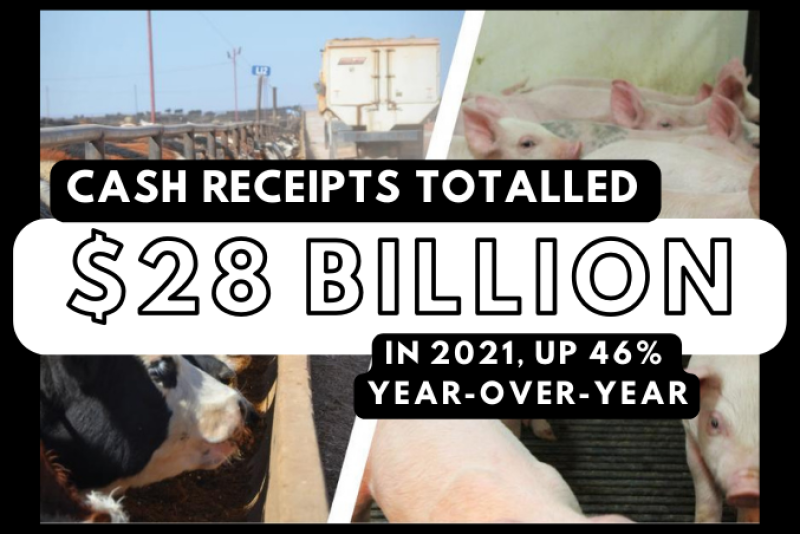 Cash Receipts Cattle Hogs