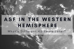 ASF in the Western Hemisphere